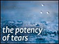 Altering Your Destiny Through Prayer