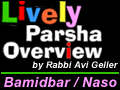 Bamidbar/Naso