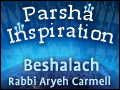 Beshalach: How Bitter Sweetens Bitter