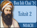 Deciphering the Difference (Noach1)