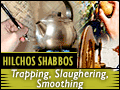 Hilchos Shabbos: Trapping, Slaughtering, Smoothing