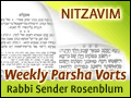 Nitzavim