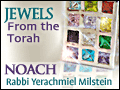 Noach: When to Lose Your Cool