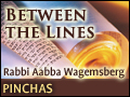 Pinchas: Saved By A Hairsbreath