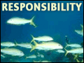 Responsibility