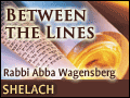 Shelach: The Benefit of the Doubt