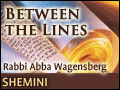 Shemini: Beating Around the Boosh