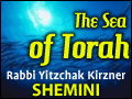 Shemini: The Purpose of the Universe