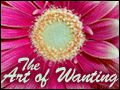 The Art of Wanting