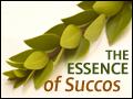 The Essence of Succos
