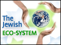 The Jewish Eco-System