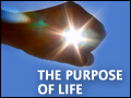 The Purpose of Life