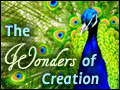 The Wonders of Creation