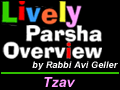 Tzav