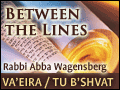 Va'eira/ Tu B'shvat: Don't Walk Like An Eygptian