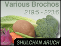 Various Brochos 219:5 - 223:6