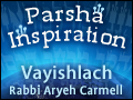 Vayishlach: The Means and the Ends
