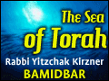 Bamidbar: Allegiance to the Flag