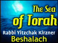 Beshalach: Ego vs. Spiritual Growth