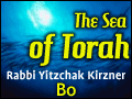 Bo: Spiritual Revelation - Blessings or Danger