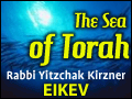 Eikev: Taking a Spiritual Stand