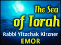 Emor: Sparks of Holiness