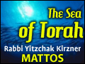 Mattos: Seeing the Ends and their Means