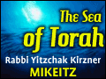 Mikeitz: Joseph And His Brothers - 2