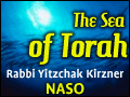 Naso: Holiness Through Self-Control