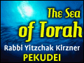 Pekudei: Rage and Confusion With Spiritual Disparity