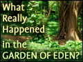What Really Happened in the Garden of Eden?