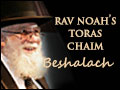 Beshalach 3 - REGRET IRRATIONALITY